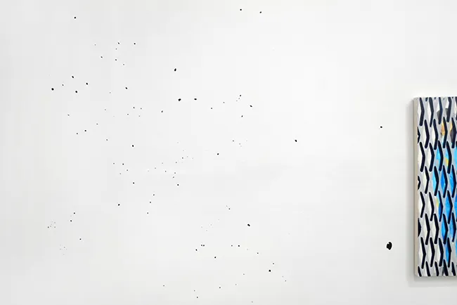 peregrine program